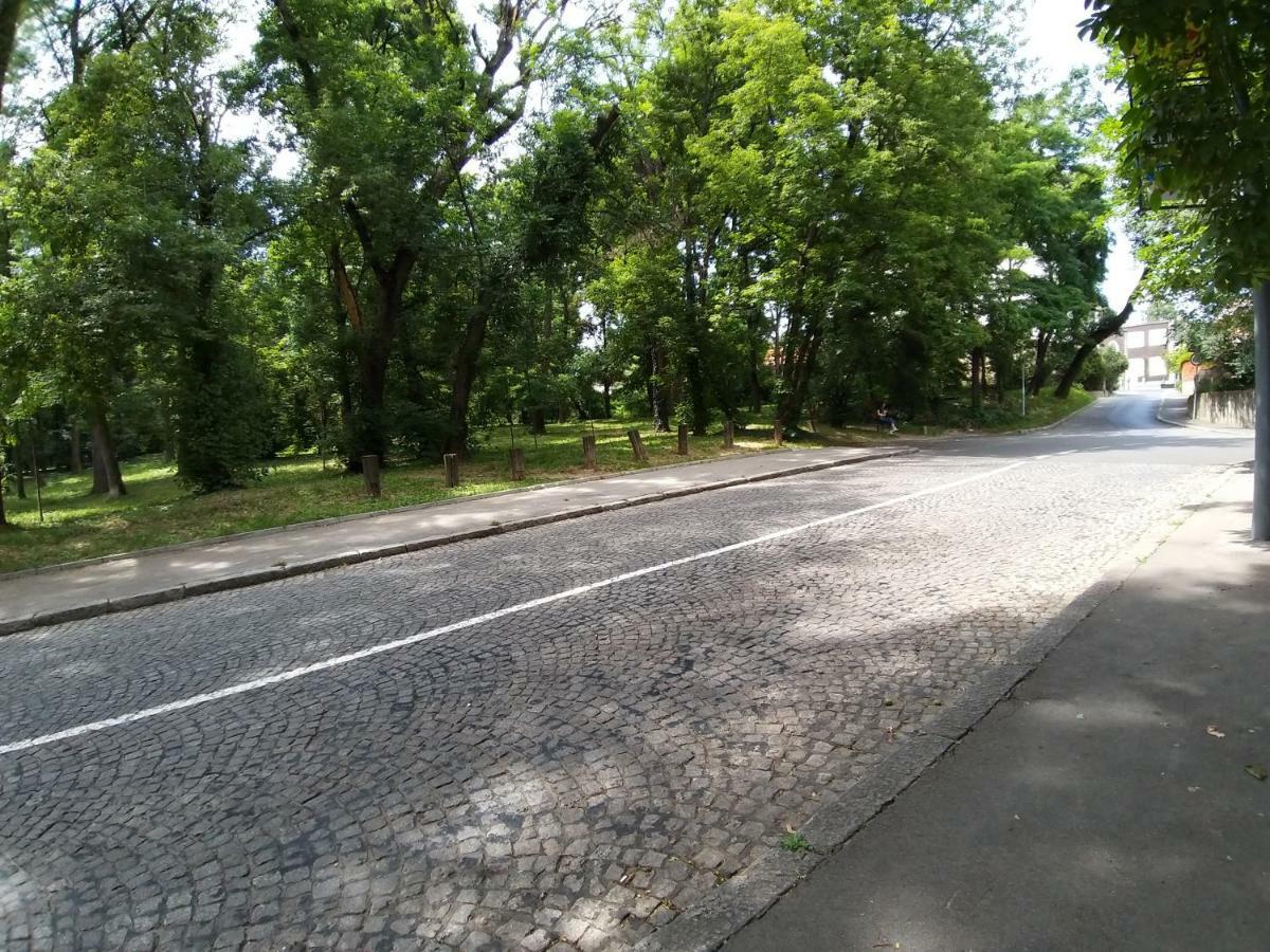 J&j * Belgrad